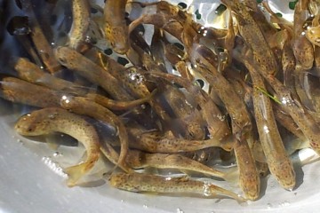 20120803 110423
