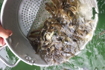 20140815 104556